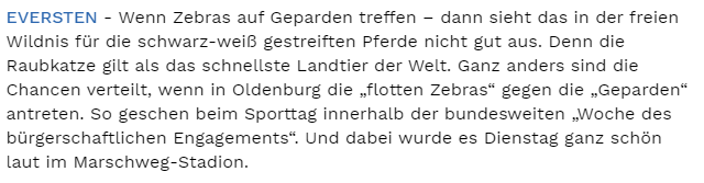 Text NWZ Flink wie die Wiesel I